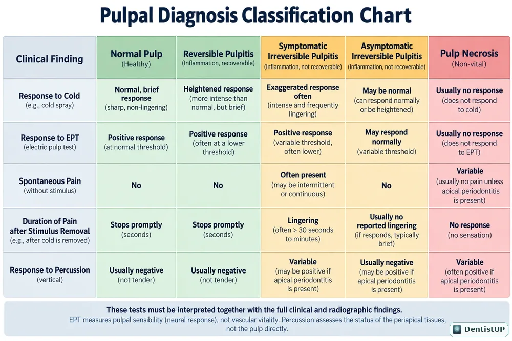 Chart comparing normal pulp, reversible pulpitis, irreversible pulpitis and pulp necrosis by clinical test findings